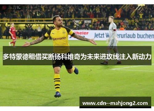 多特蒙德租借买断扬科维奇为未来进攻线注入新动力 多特蒙德租借买断扬科维奇为未来进攻线注入新动力
